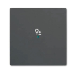 BJ Wippe 1f Dimmer schwarz   6234-10-885 