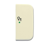 BJ Wippe 2fach Symbol Dimmer 6234-22-212 