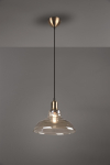 Trio Pendelleuchte ALDO,1x E27 R30731004 