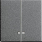 GIRA 063128 Wippe 2fach Kontrollfenster 