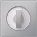 GIRA 066665 Abdeckung Knebel Zeitsch.+ 