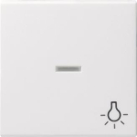 GIRA 067403 Wippe Kontrollfenster+Symbol 