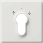 GIRA 066466 Abdeckung Schlüsselschalter 