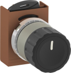 ABB Drehschalter 2-Pos.schwarz  P9MPS22G 