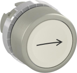 ABB Druckt.flach ws "->"      P9MPNBG006 