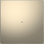 Merten Wippe f.Taster-Modul MEG5210-6050 