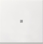 GIRA 549027 Funk Aufsatz Schalten 