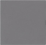 GIRA 810828 Blindabdeckung o.Tragring 