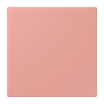 Jung Blind-Abdeckung LC4320C   LC994B246 