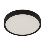 EGLO Wand und Deckenleuchte        98604 