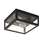 EGLO Wand und Deckenleuchte        99122 