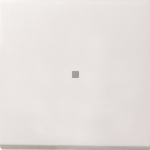 GIRA 0290112 Wippe Kontrollfenster 