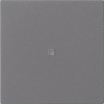 GIRA 537128 Wippe 1fach unbedruckt KF 