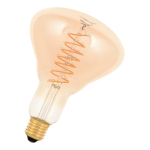 BAIL spiraled Gold Theo R125 80100039429 