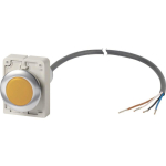 EATON C30C-FL-Y-24-P62            185956 