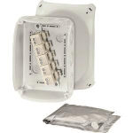 Hensel WP 1010G                WP 1010 G 