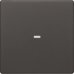 Berker Wippe 1fach mit klarer   80960226 