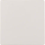 BER Zentralplatte               75940409 