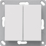 GIRA 246203 BT Wandsender 2fach 