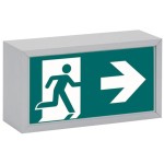 CEAG 70011 LED CG-S          40071351270 