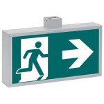 CEAG 71021 LED CG-S DM       40071351282 