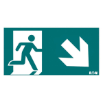 CEAG PICTO ISO7010-E002 D/R SS  LUM10973 