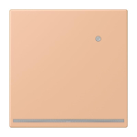 Jung                      LC1539-OLNW231 