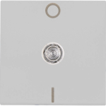 Kopp HK07-Flächenwippe 2-polig 491963008 