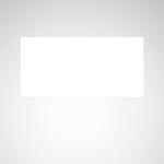 TRILUX 07650/07750 Blindscheibe  7955500 