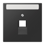 Jung Abdeckung            LS969-1NAUASWM 