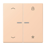 Jung eNet Taster Uni 1f FM LC 1701 P 234 