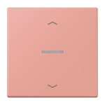 Jung eNet Taster        FM LC 1700 P 246 