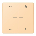 Jung eNet Taster Uni 1f FM LC 1701 P 223 