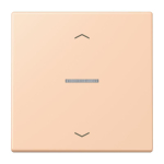 Jung eNet Taster        FM LC 1700 P 234 