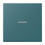 Jung eNet Taster Standard FM LC 1700 216 