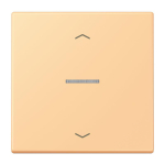 Jung eNet Taster        FM LC 1700 P 258 