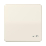 JG Wippe Tür                      CD590T 