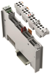 WAGO 753-467 2-Kanal-Analogeingang,DC 0 