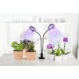 Xavax LED-Pflanzenleuchte Circle  112696 