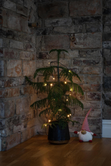 LED-Microkette 50er batteriebe. 1470-100 