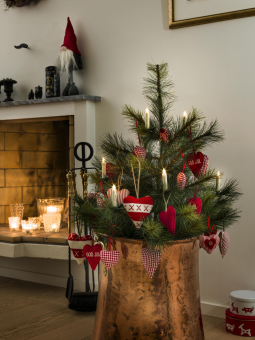 LED-Baumbeleuchtg 5er kabellos  1906-100 