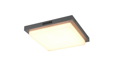 TRIO Wandleuchte BERMEJO 14W   630369242 