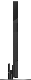 Panasonic TX-65MZW2004 sw OLED-TV 