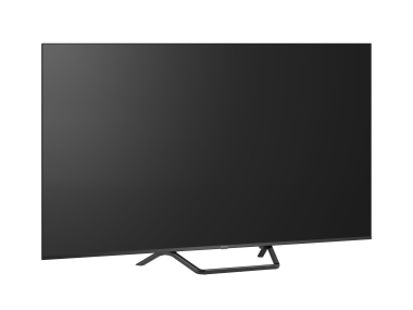 Panasonic TV-65W95BEG sw Mini LED-TV 