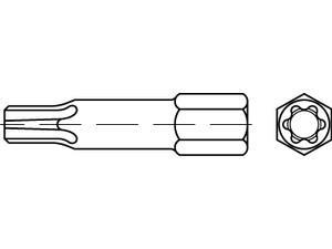 Reyher Bits TORX 25, 10 Stück im Beutel 