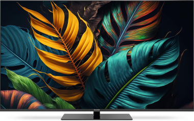 TechniSat TechniVision UHD55A sw LED-TV 