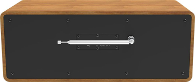 TELESTAR TOP 300 Holz Digitalradio Stere 