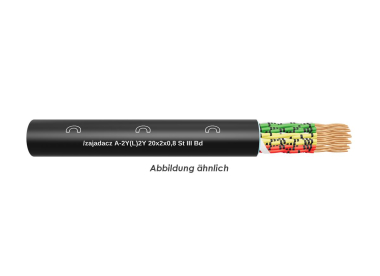 A-2Y(L)2Y 20x2x0,8 St III Bd Fca TR1000m 