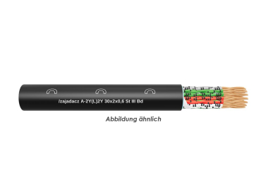 A-2Y(L)2Y 30x2x0,6 St III Bd Fca  TR500m 