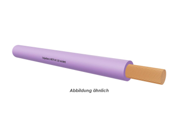 H07V-K 10 violett Eca          Ring 100m 